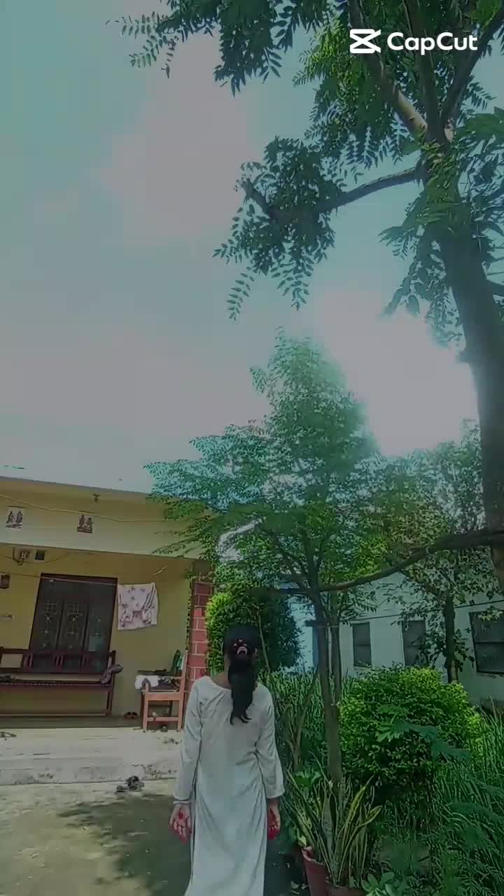 @kali