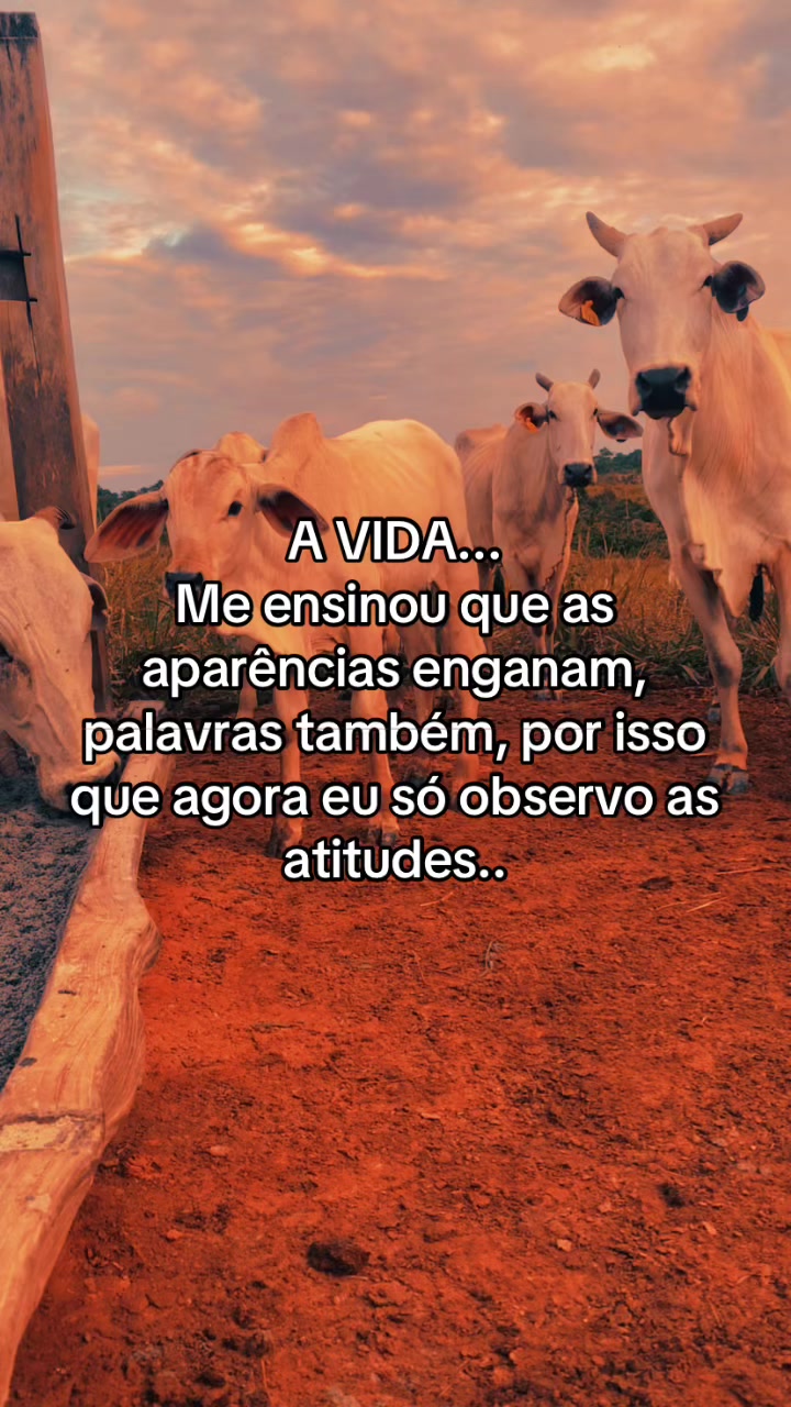 @📿K&Aacute;SSIO.agro𓃗🤠