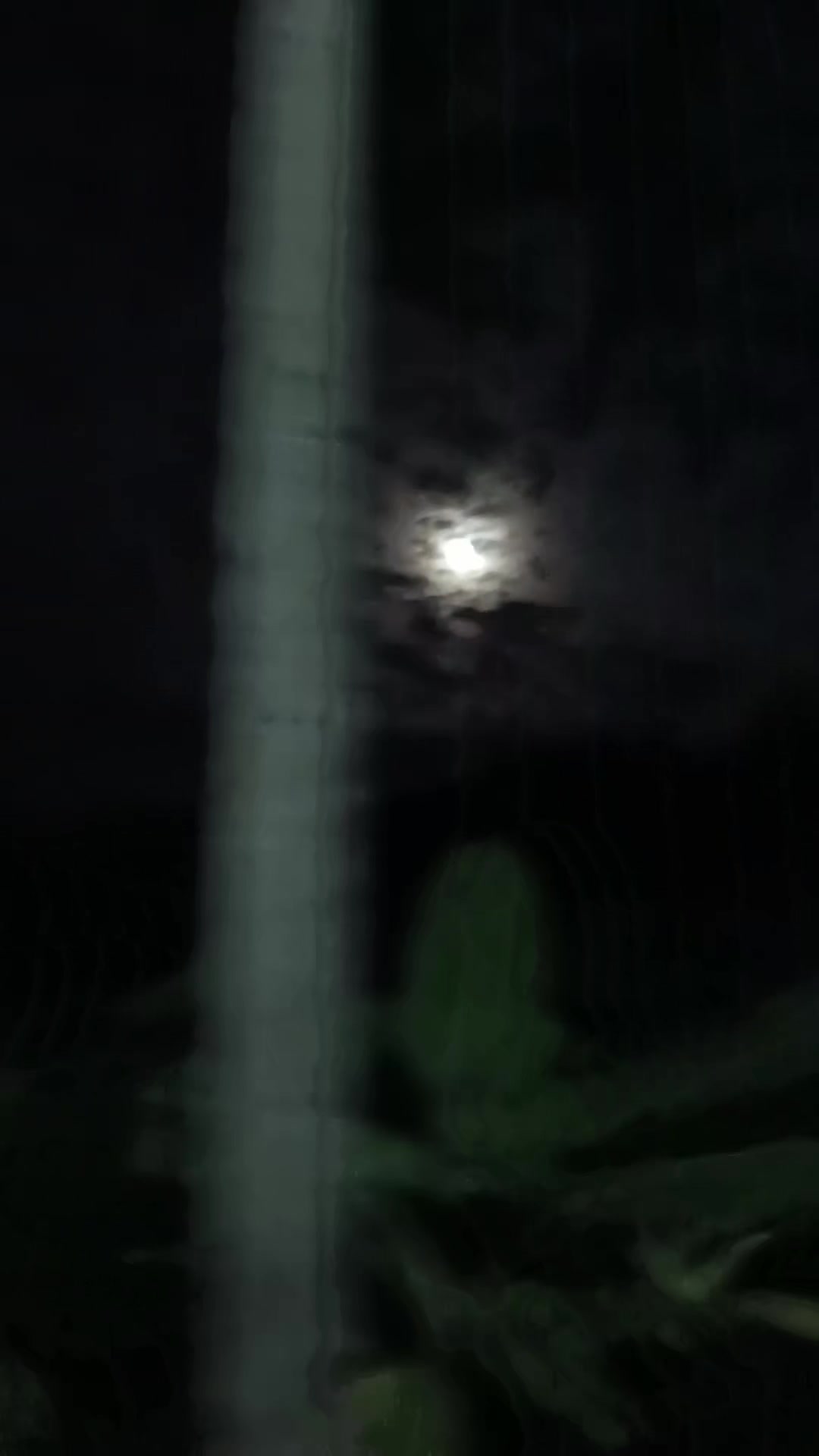 @pranee