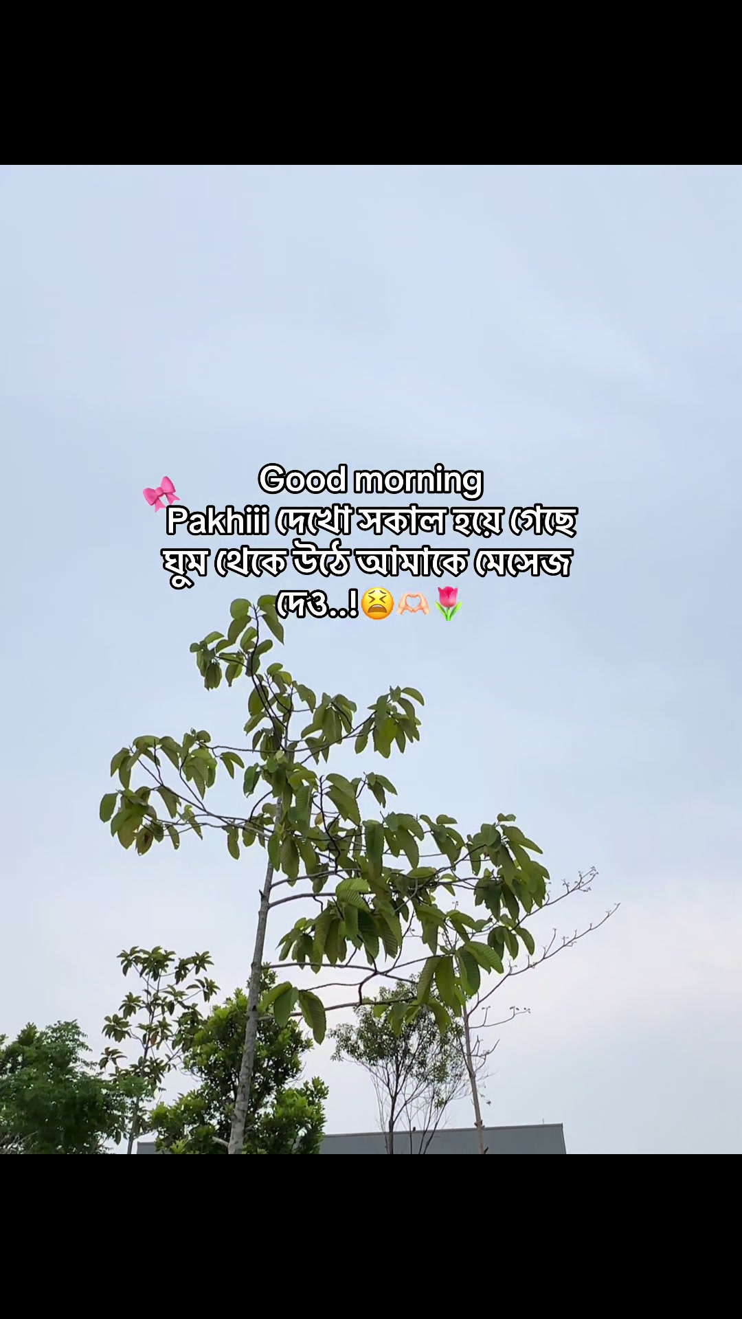 @🔰 𝗦 𝗔 𝗗 𝗜 𝗞 🔰'♡