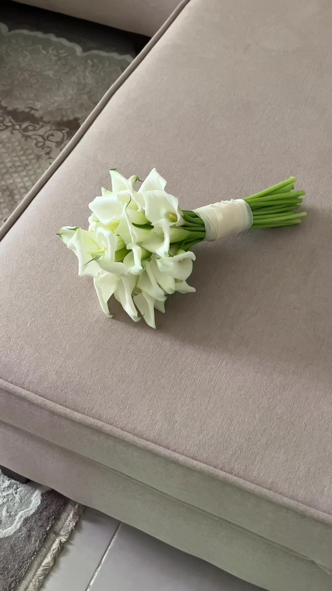 @أزهار&ensp;بيبي&ensp;روز