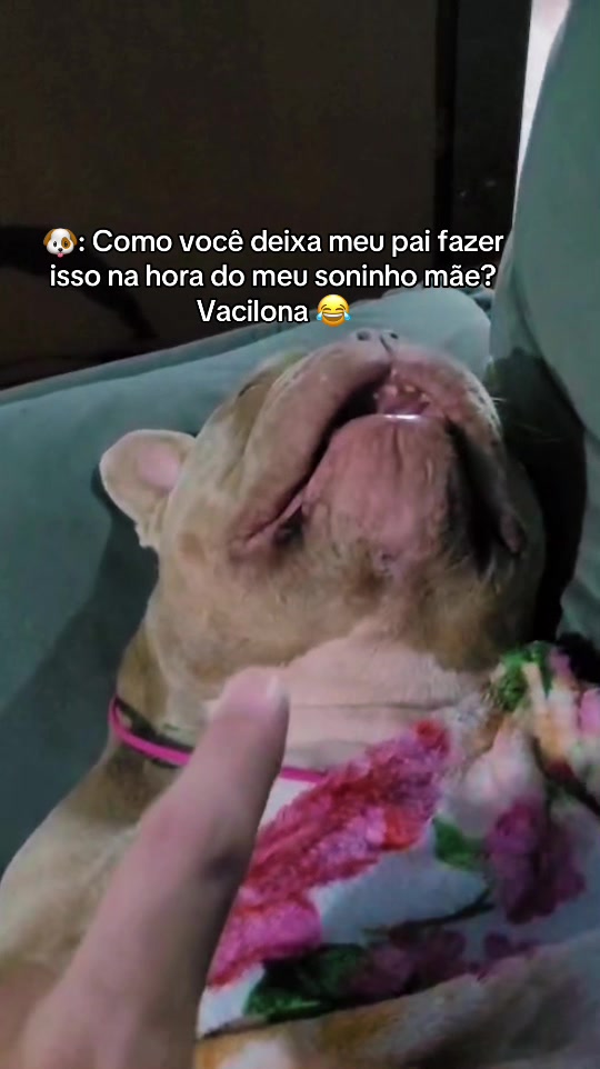 @Achadinhos da Lari