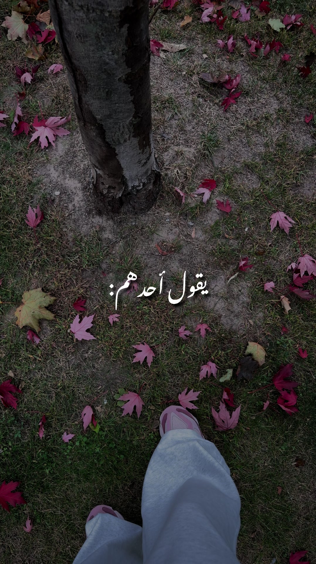 @Rayan El Ayoubi