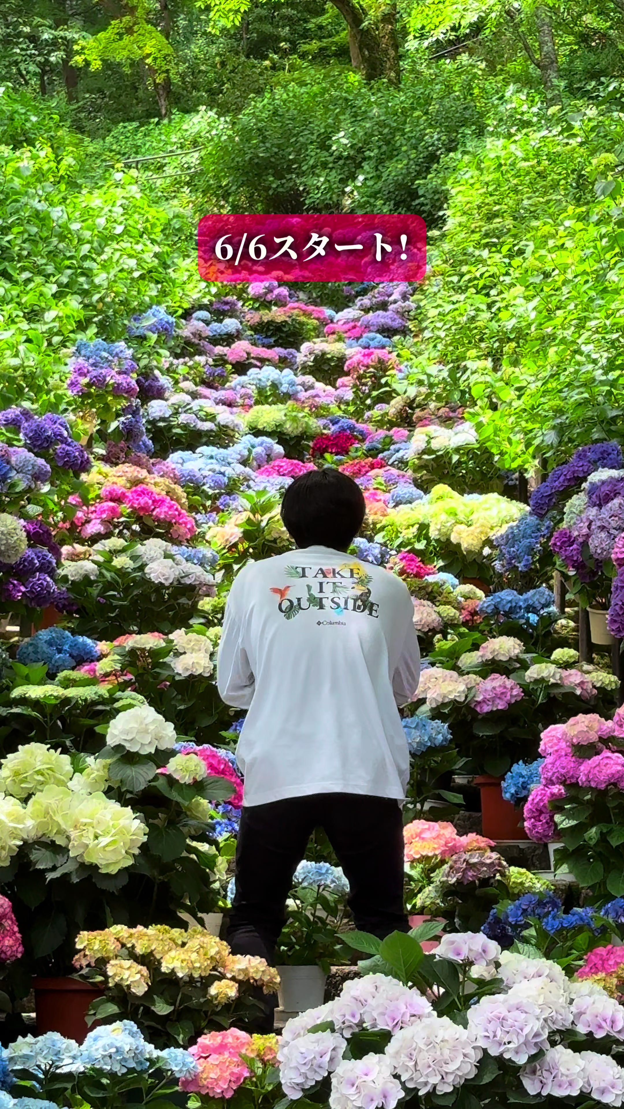 @ひろと / 大阪発！関西トレンド独占旅🔥