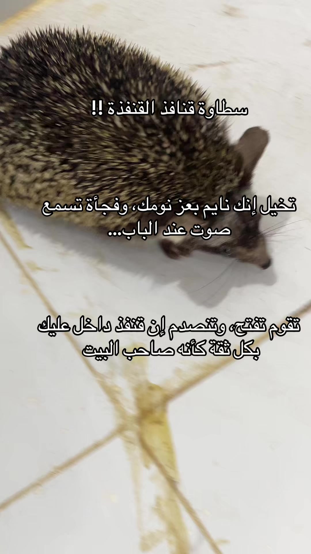 @عمر