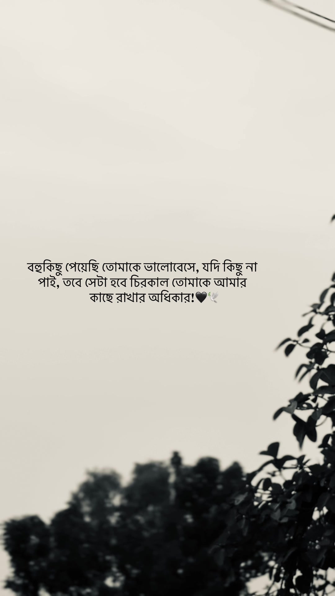 @Mishal🧃