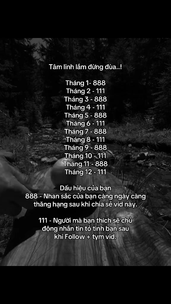 @Phe Tâm Trạng🫀