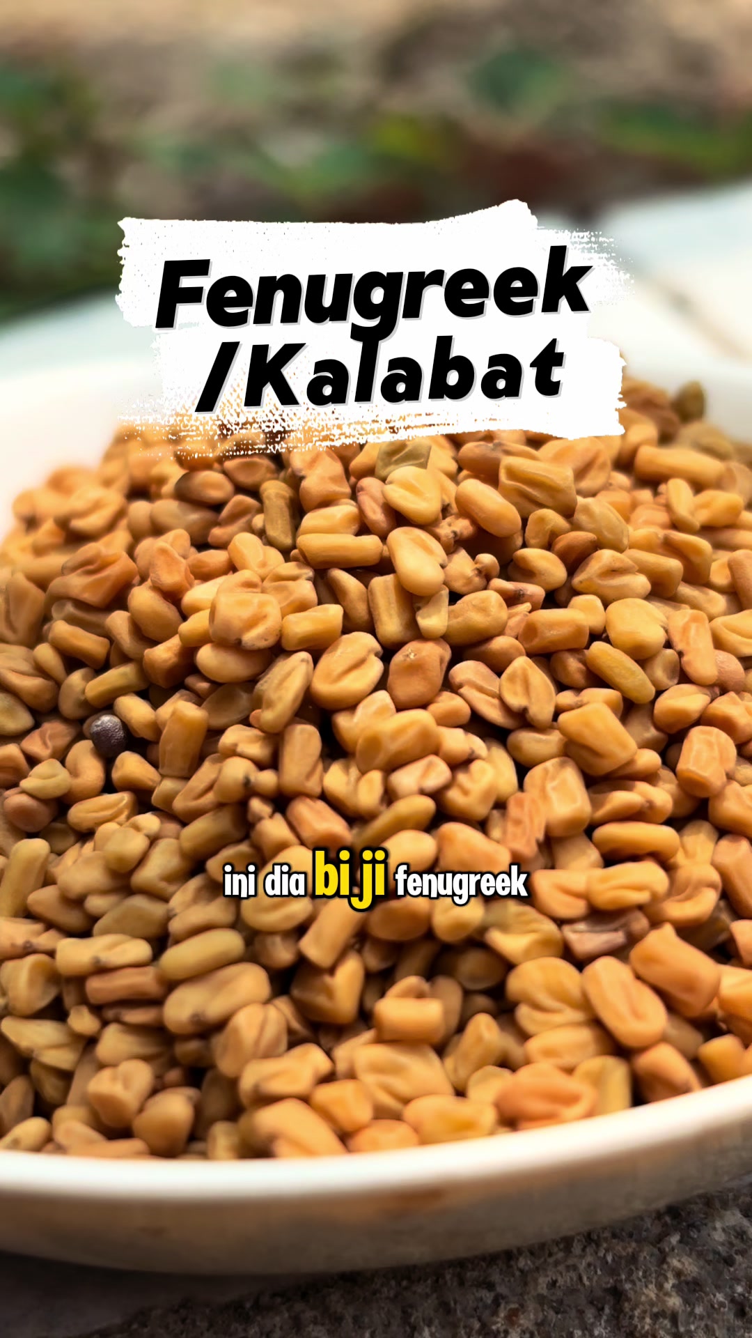@de erstungkoro