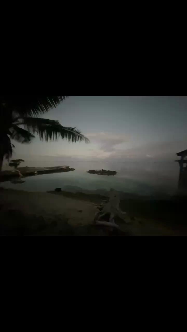 @Tana-Here Kewahinui Tehaai