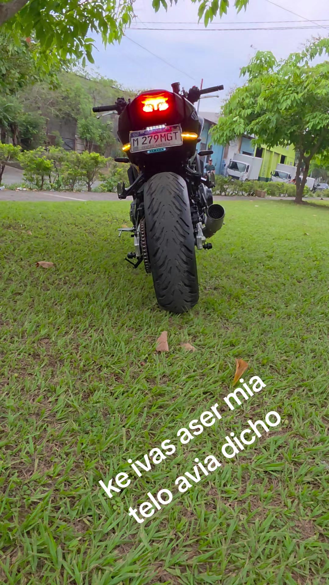 @bilderalfaro