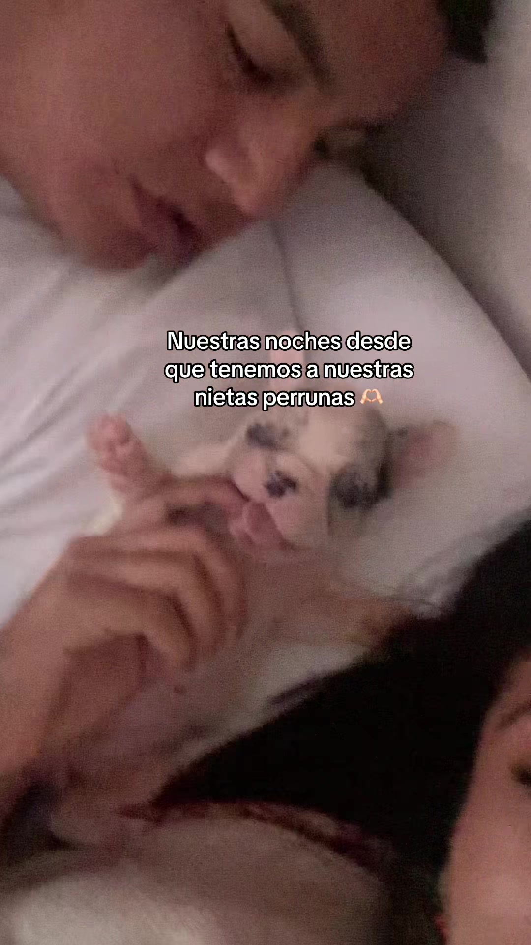 @Valentinavivian🦋