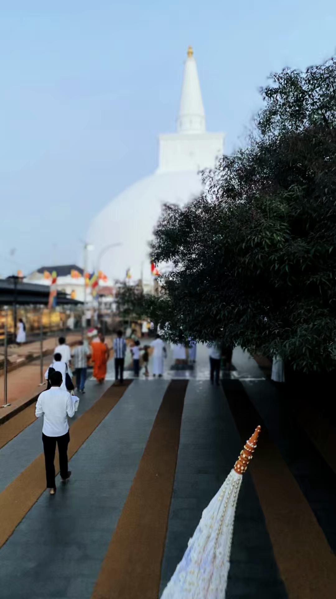 @shammi 🇱🇰🇲🇻