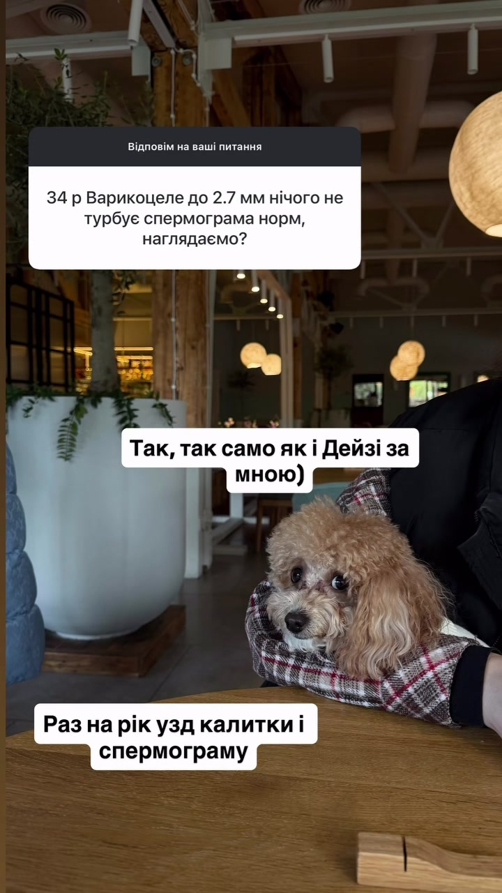 @УРОЛОГ ТІКТОКУ