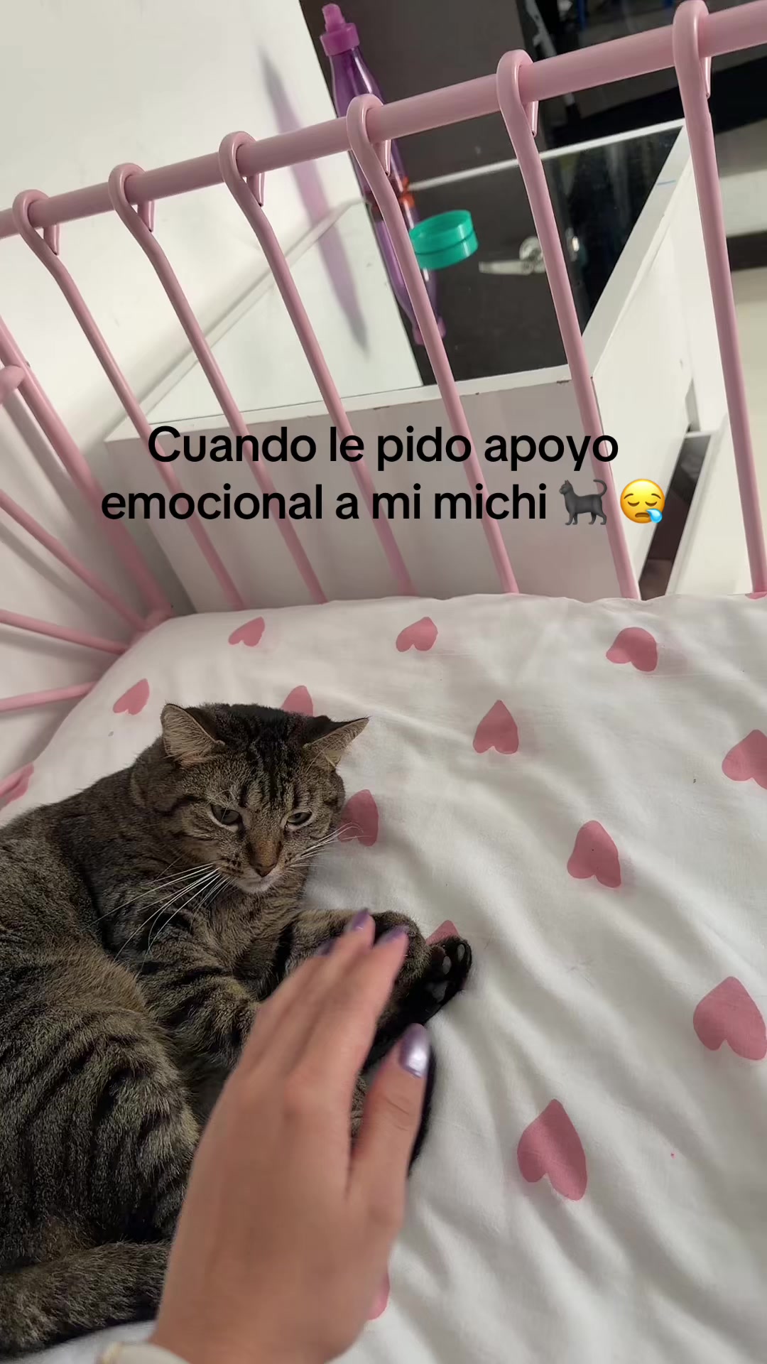 @jenngiraldogallego