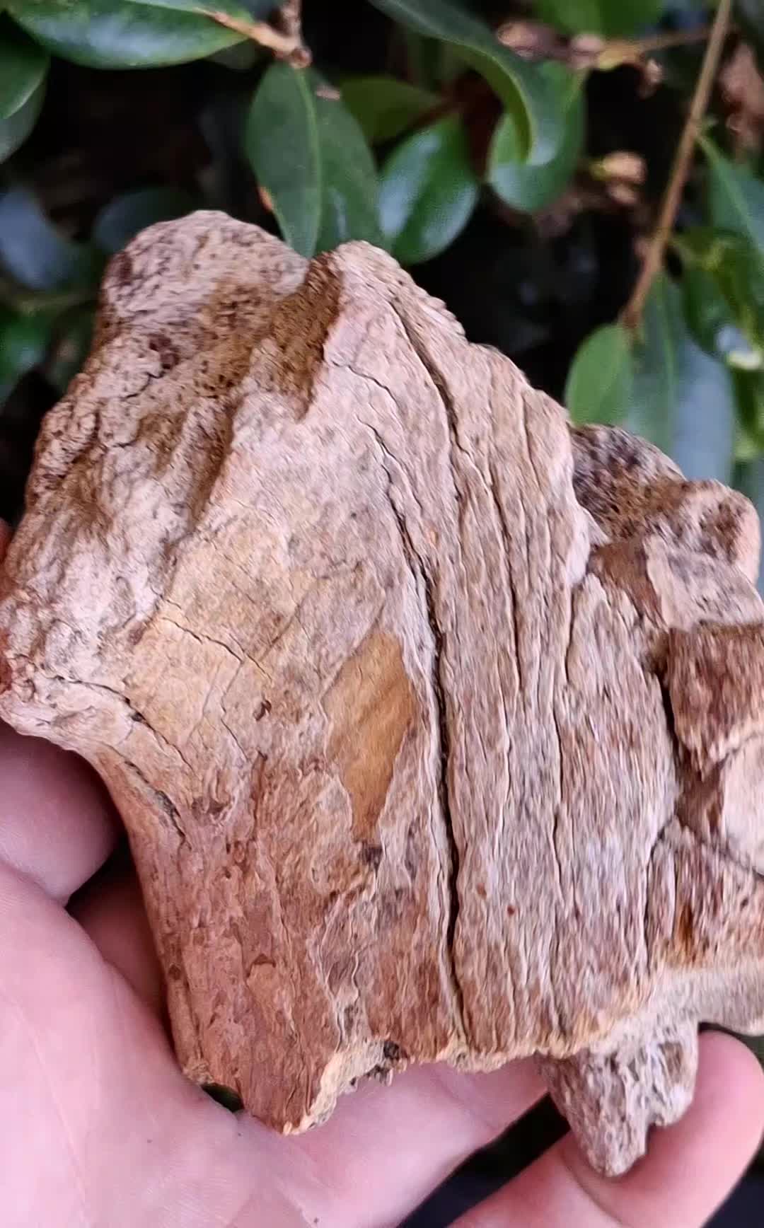 @Geological George