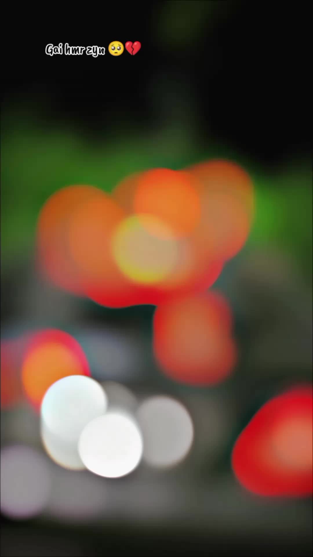 @&times;͜&times;➳🇿 &icirc;🇩 🇩 &icirc;➳🇲 &aring;🇽 🇽🇲🇾