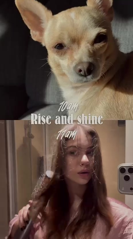 @polencevik
