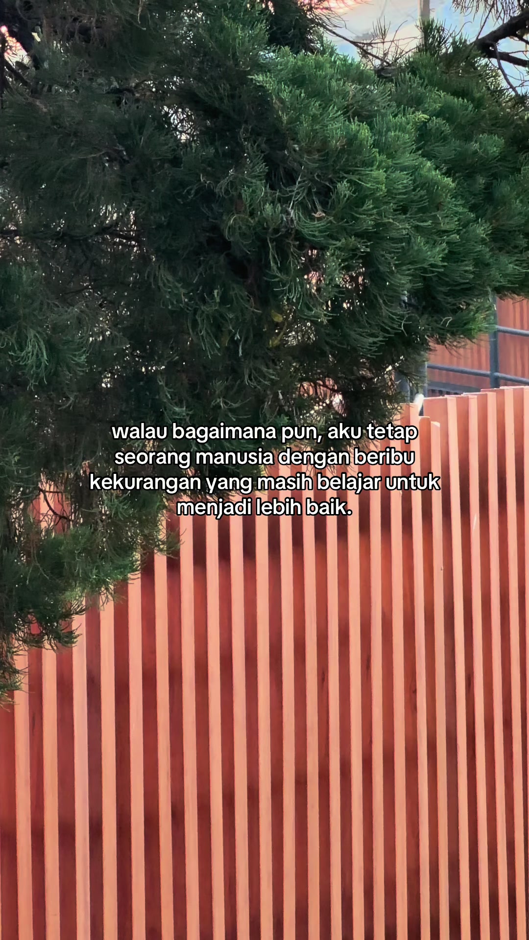 @ㅤ