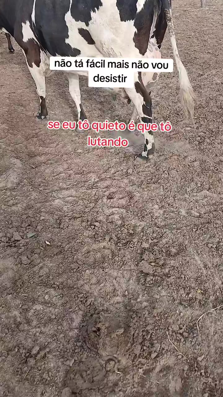 @jocriador