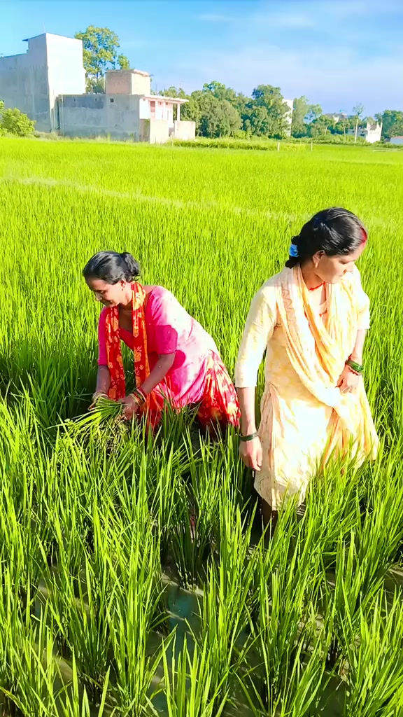 @Anita Gupta
