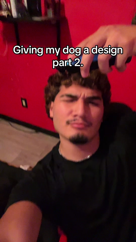 @angel
