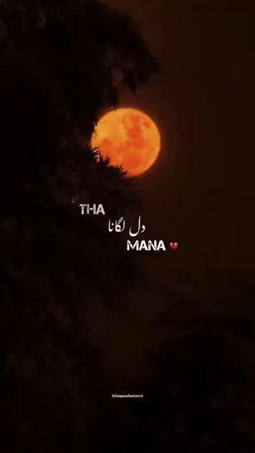 @khurram sheikh