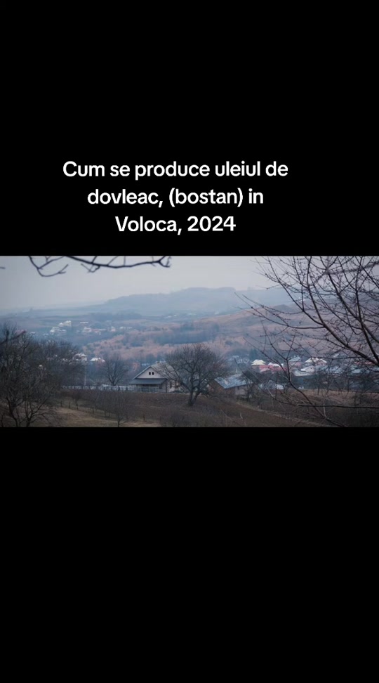 @Amintiri-Voloca