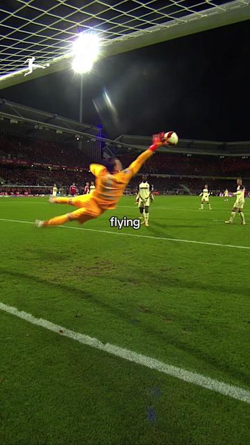 @Bundesliga