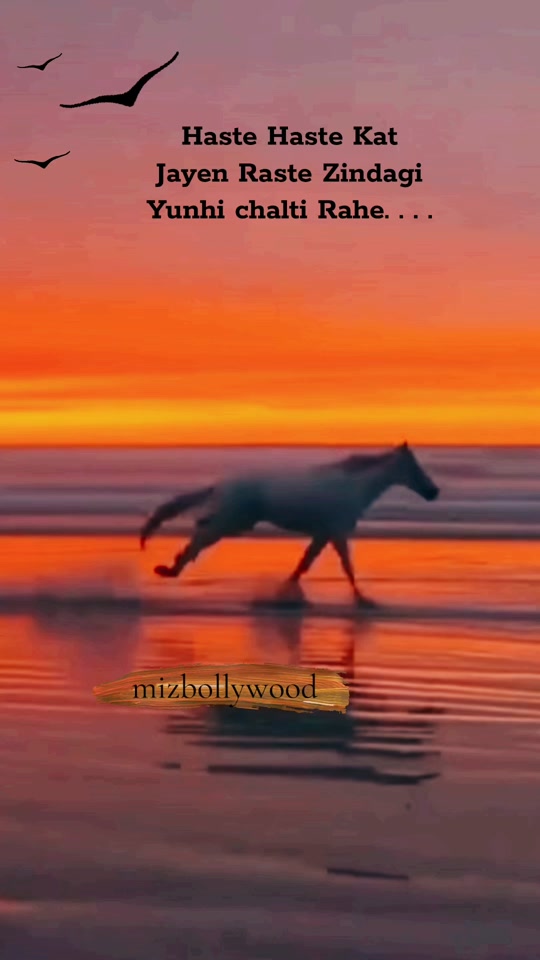 @𝓜𝓲𝔃𝓫𝓸𝓵𝓵𝔂𝔀𝓸𝓸𝓭