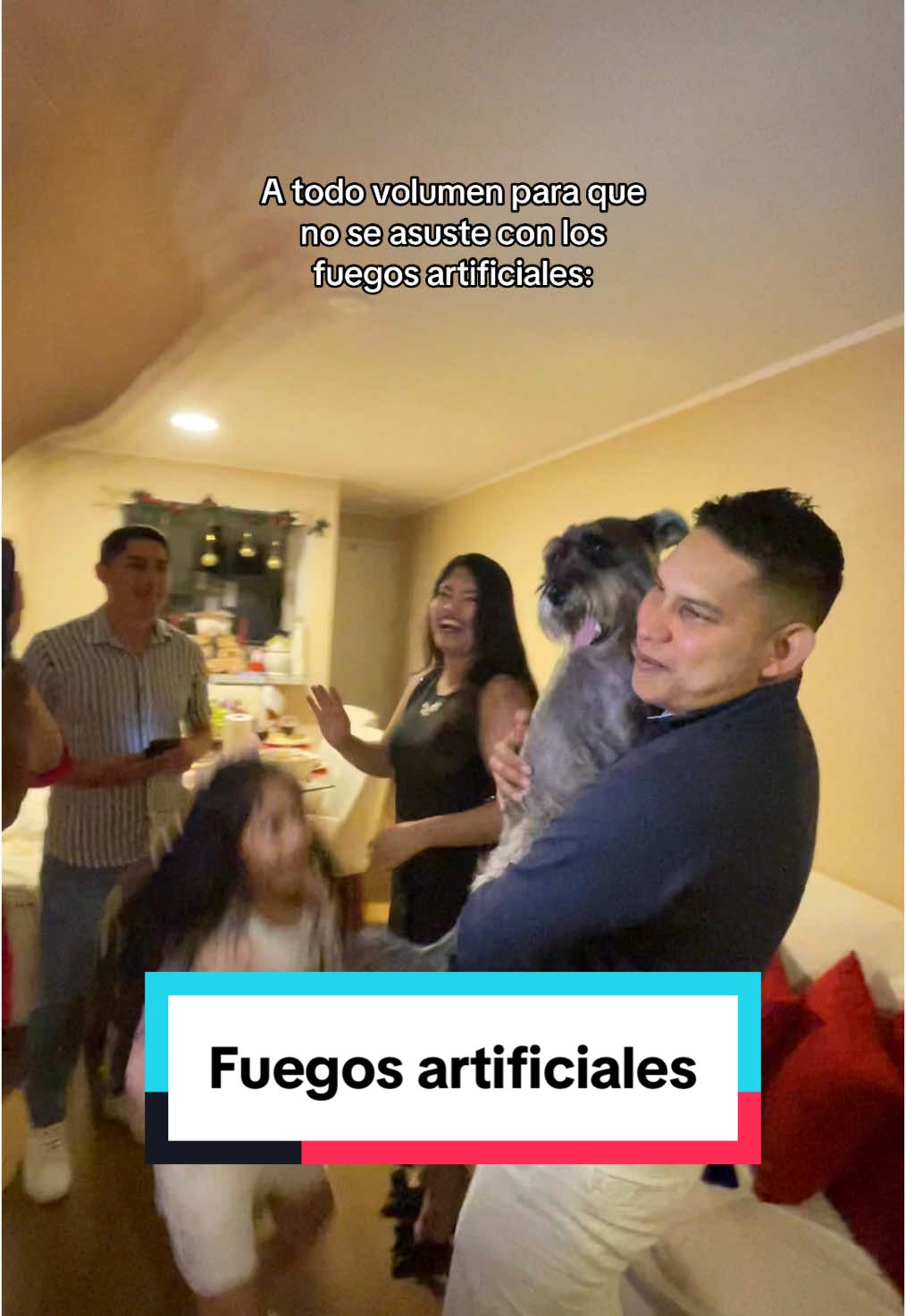 @lukah_schnauzer