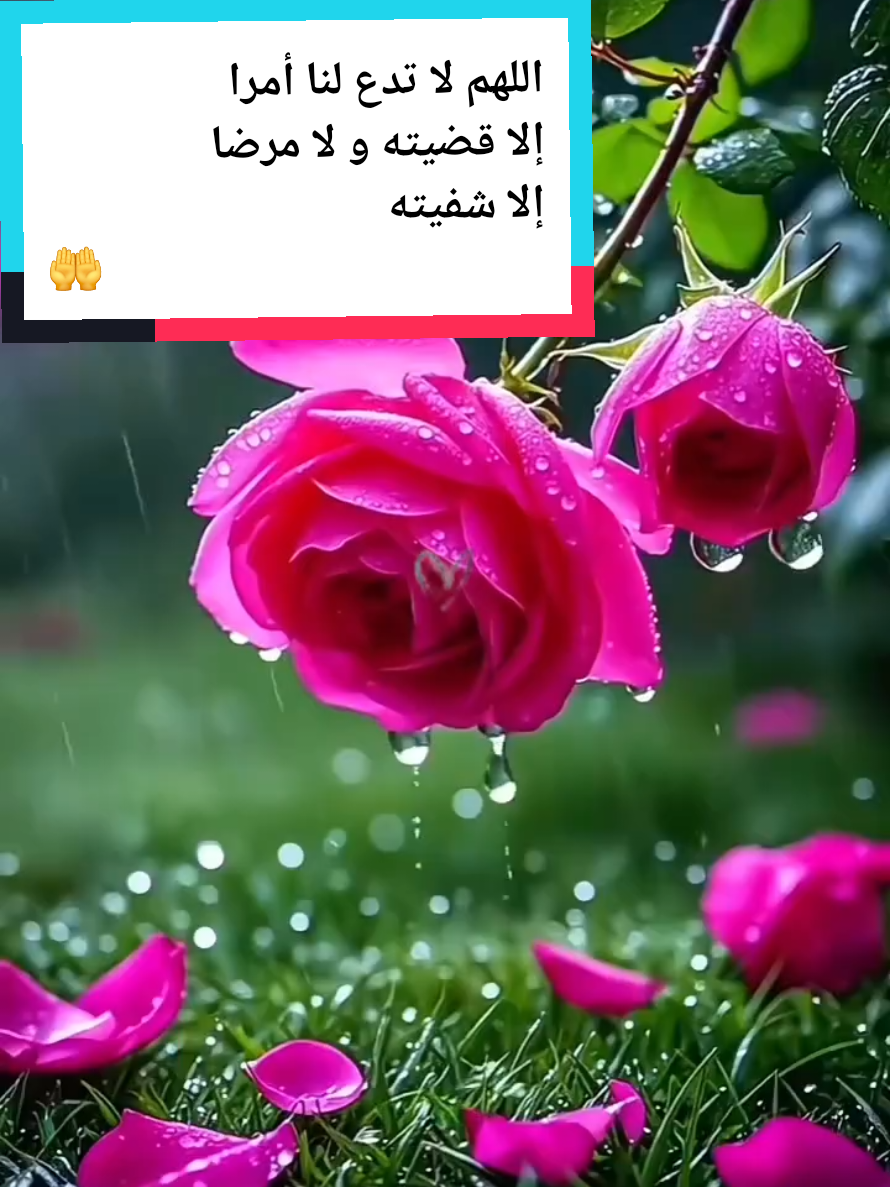 @meryflower001