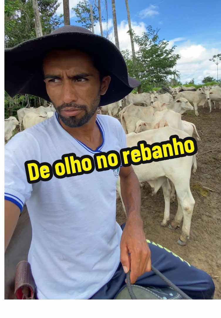 @francimar