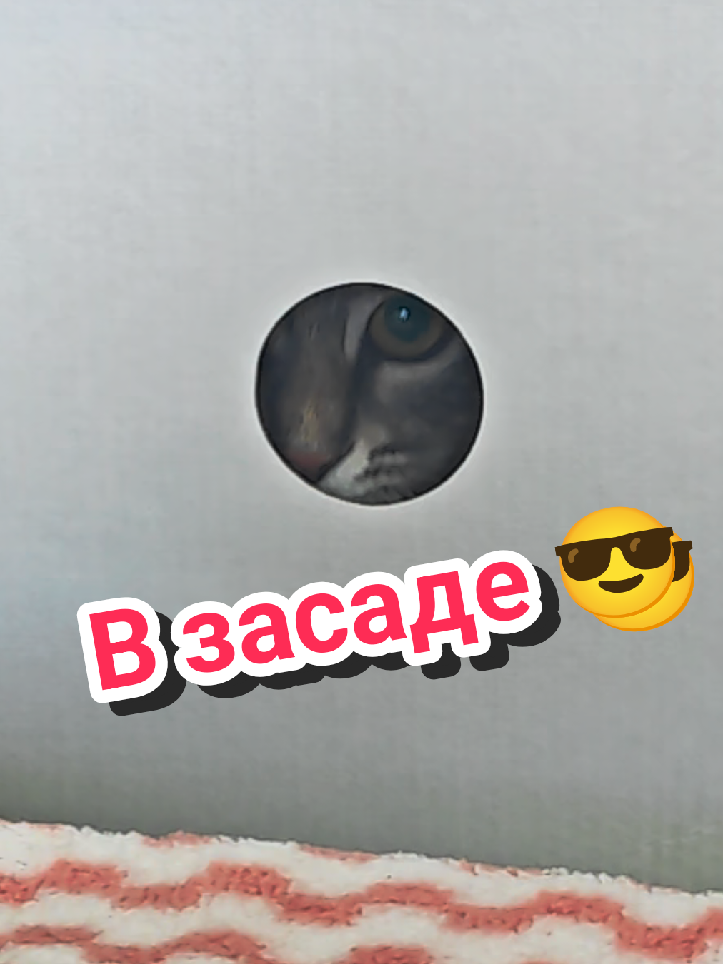 @Баст / Баста / Бася