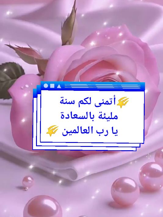 @meryflower001