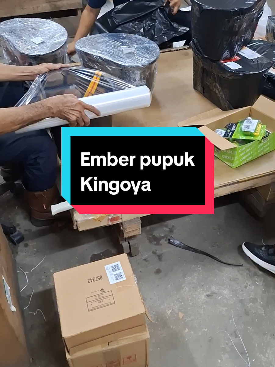 @KingIBSoe