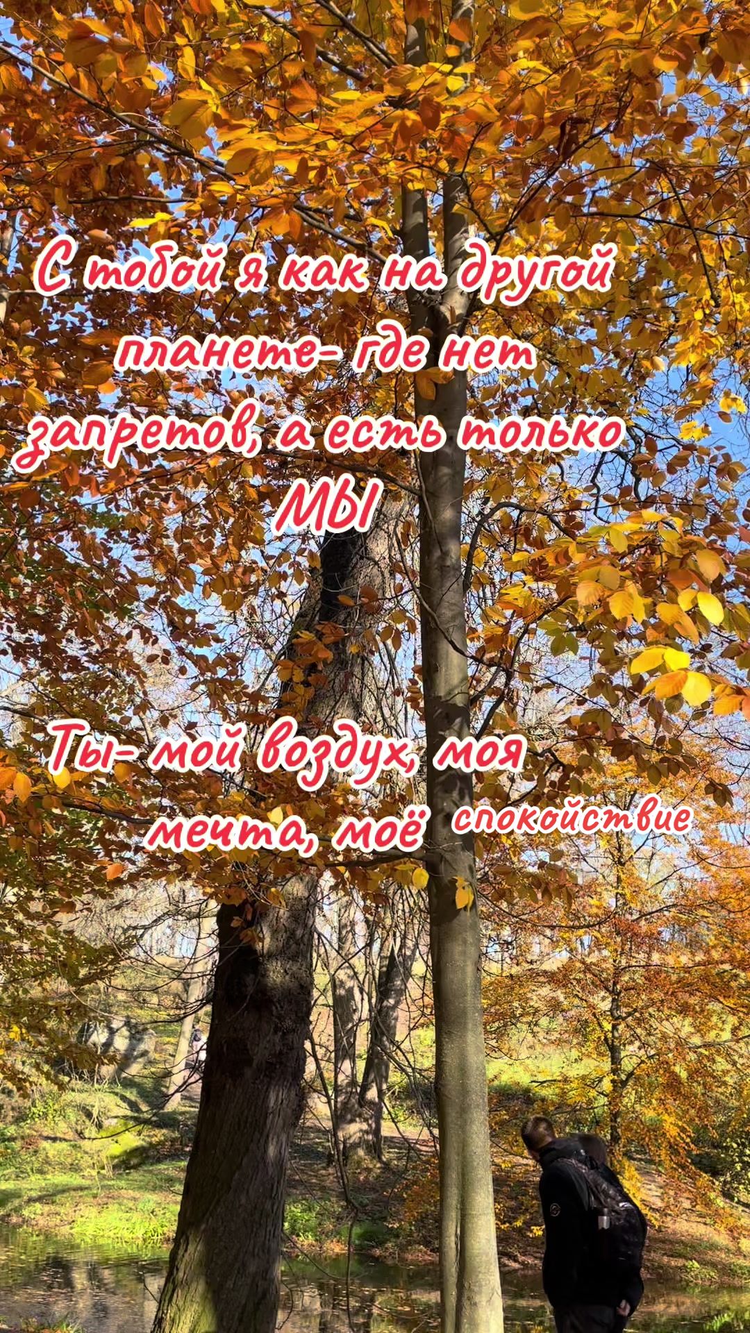 @Яна 🫶