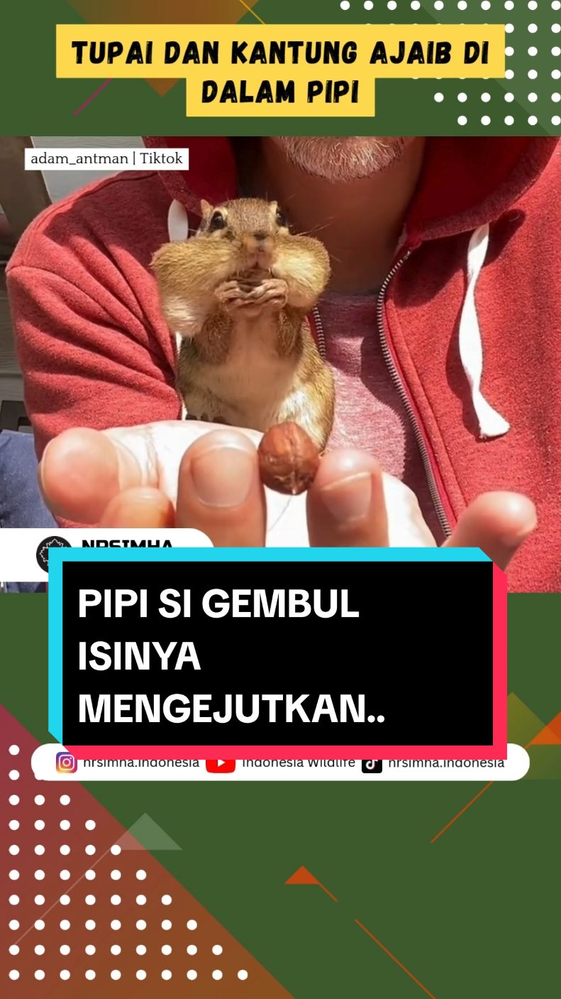 @NARASIMHA