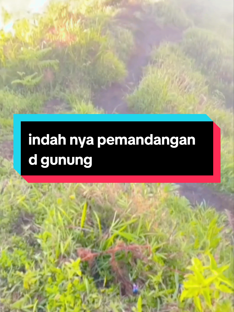 @๐๐ฝ๐๐๐๐โ