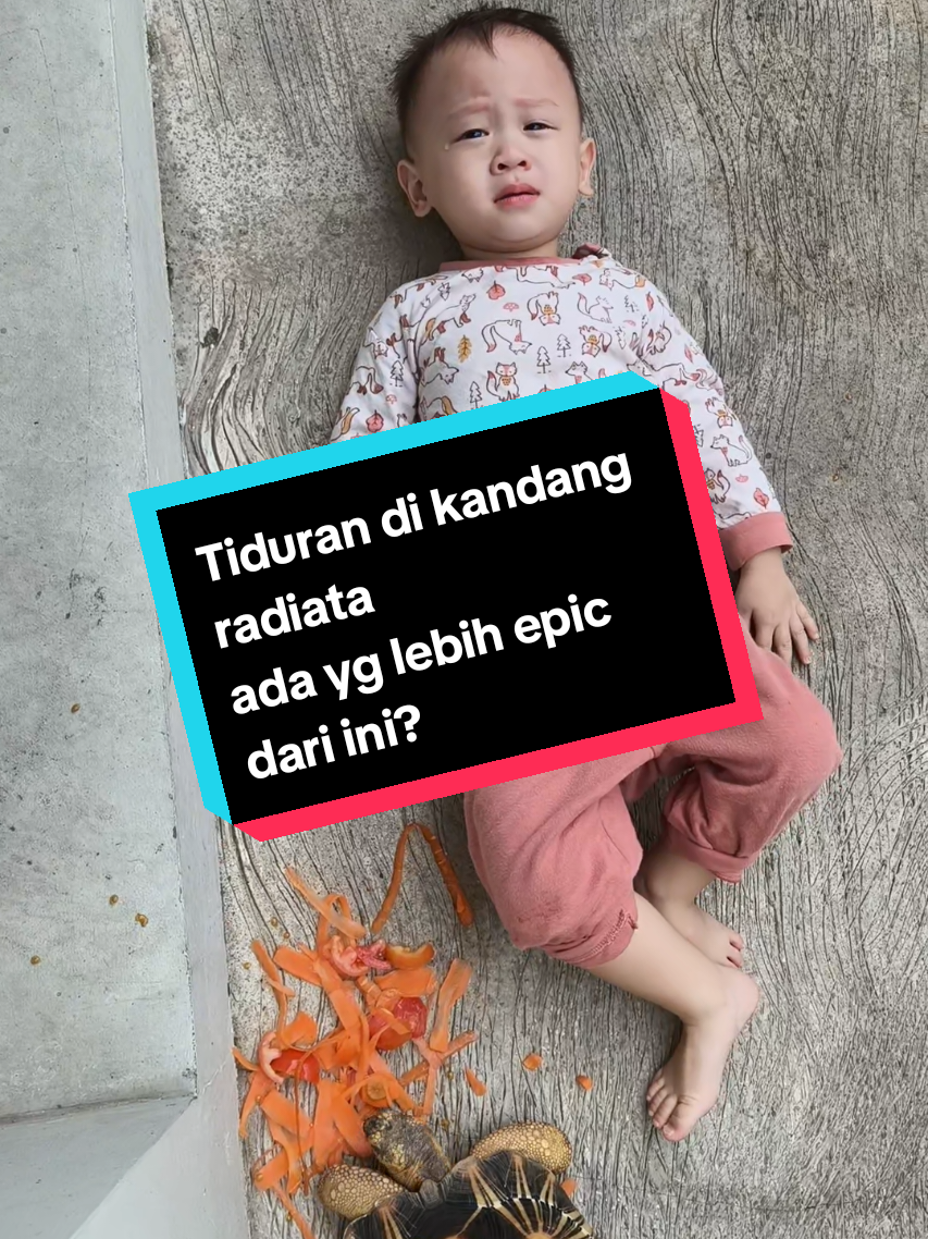 @ElimTorto