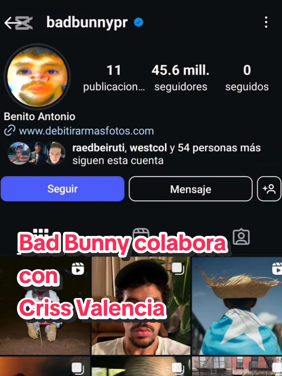 @chinoloko | antiscamer