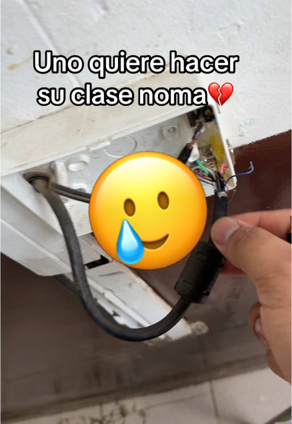 @ProfeRenato