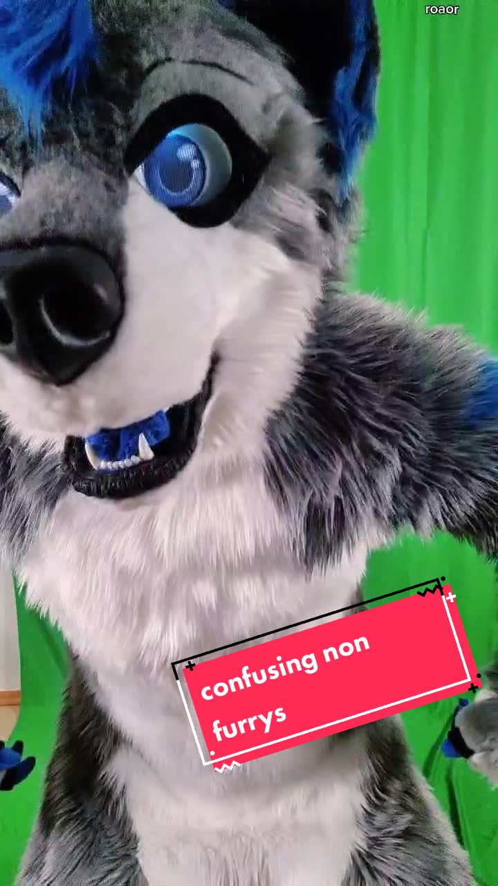 @DarkDragon