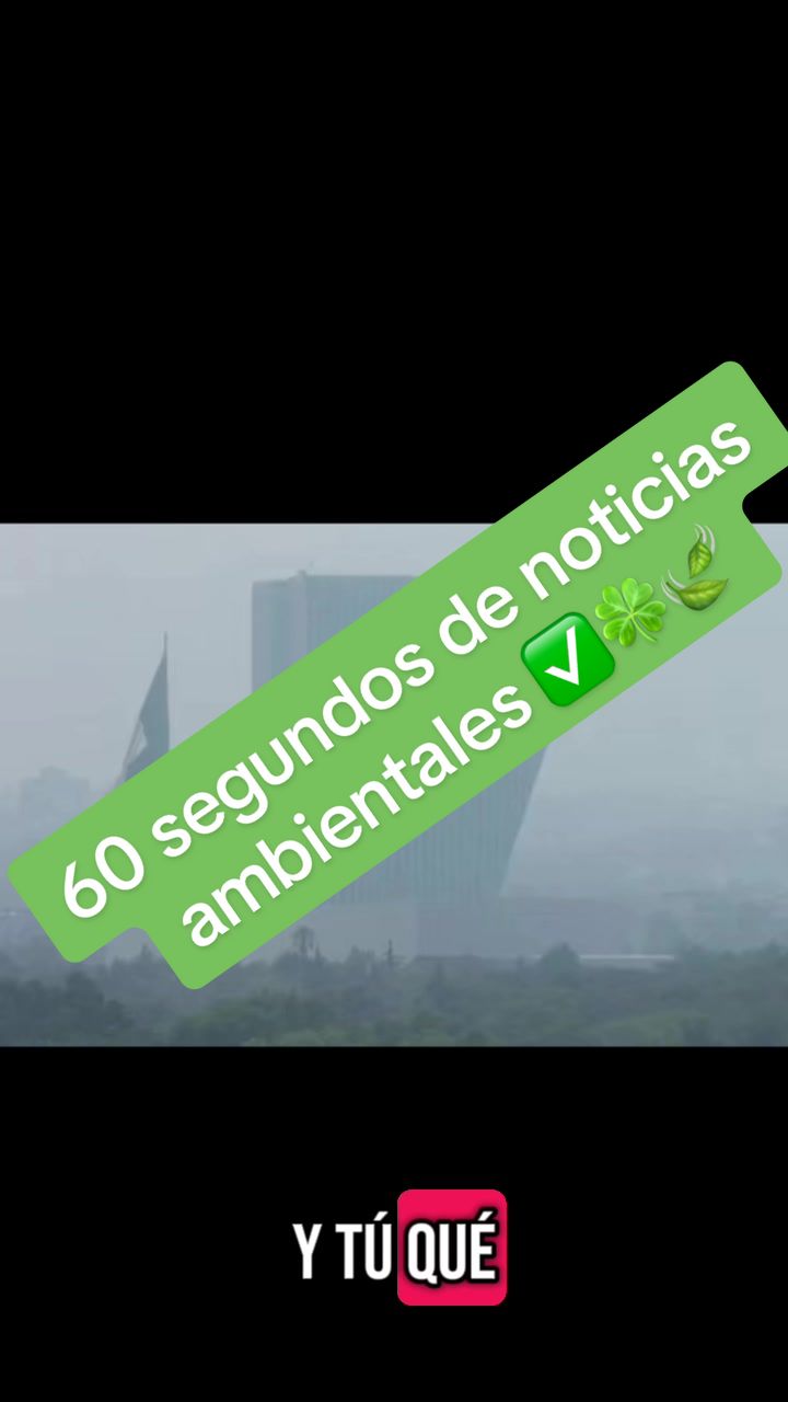 @La Neta Del Ambiente