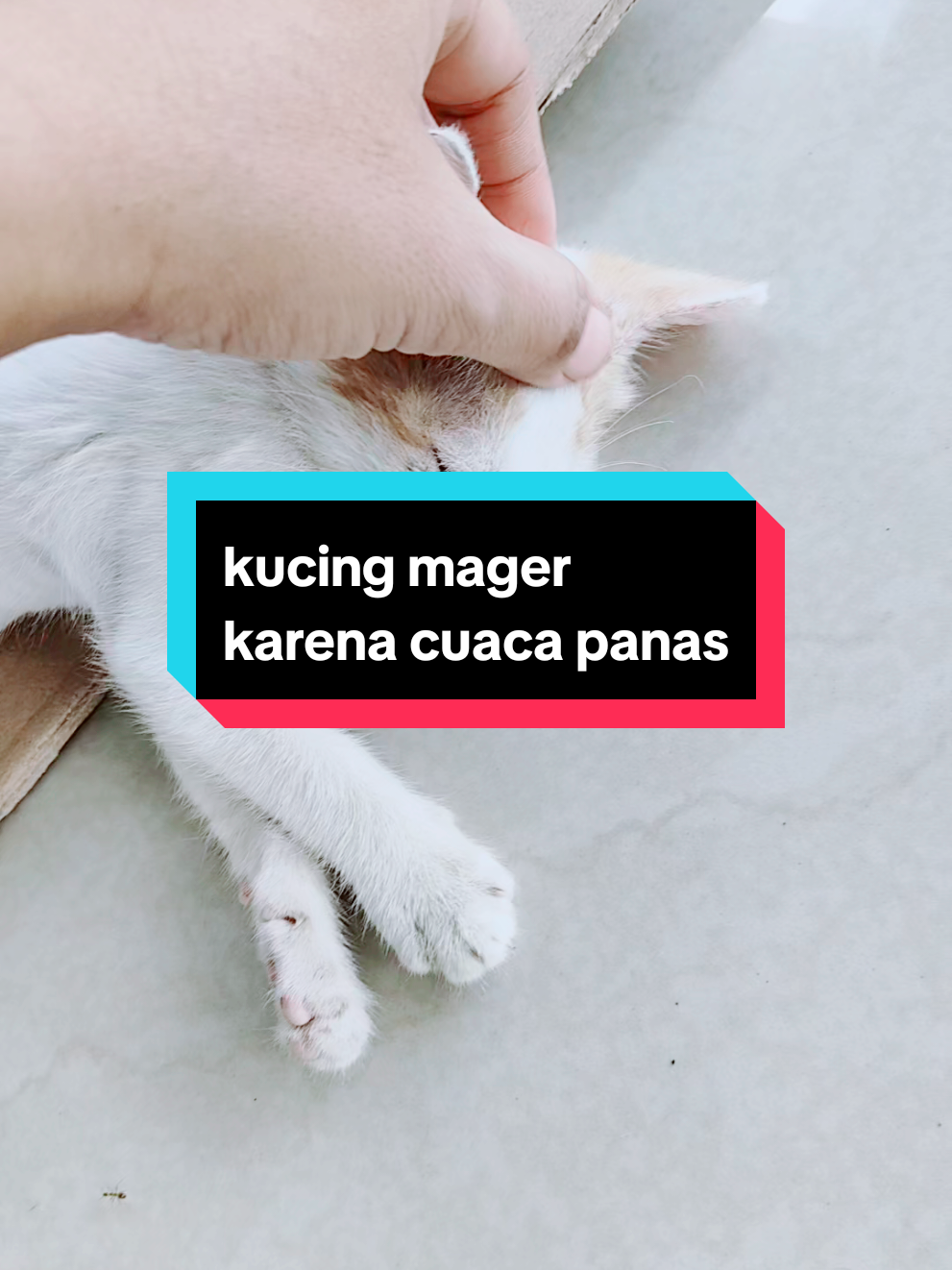 @FONZA KEBUMEN