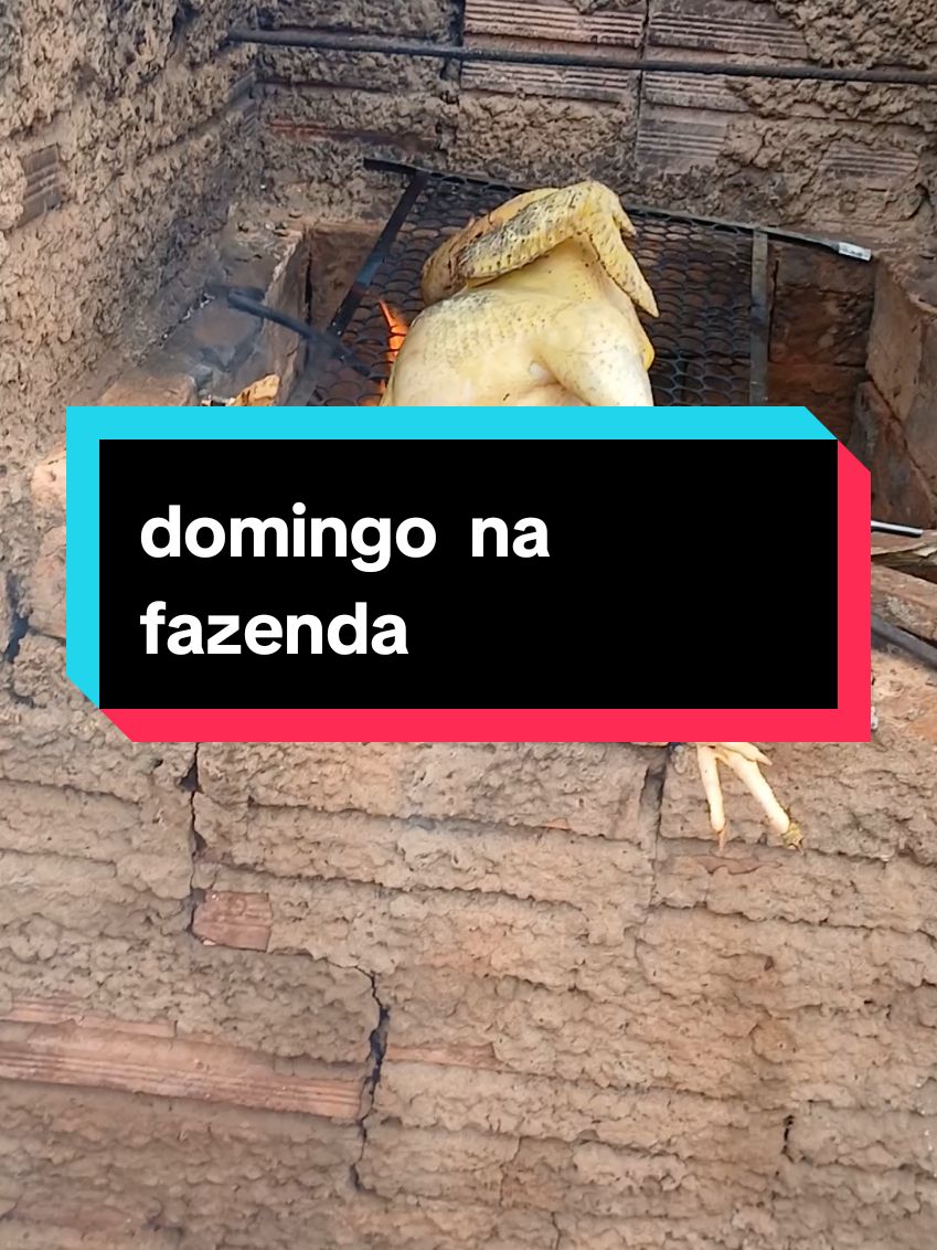 @Lucia Nunes