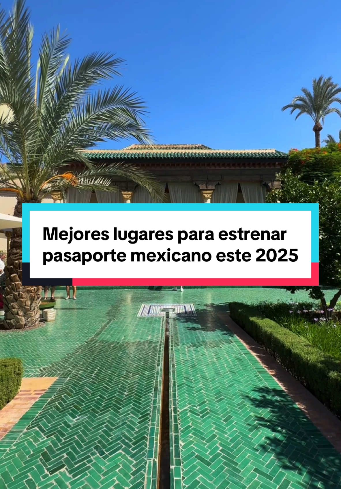 @Vive México