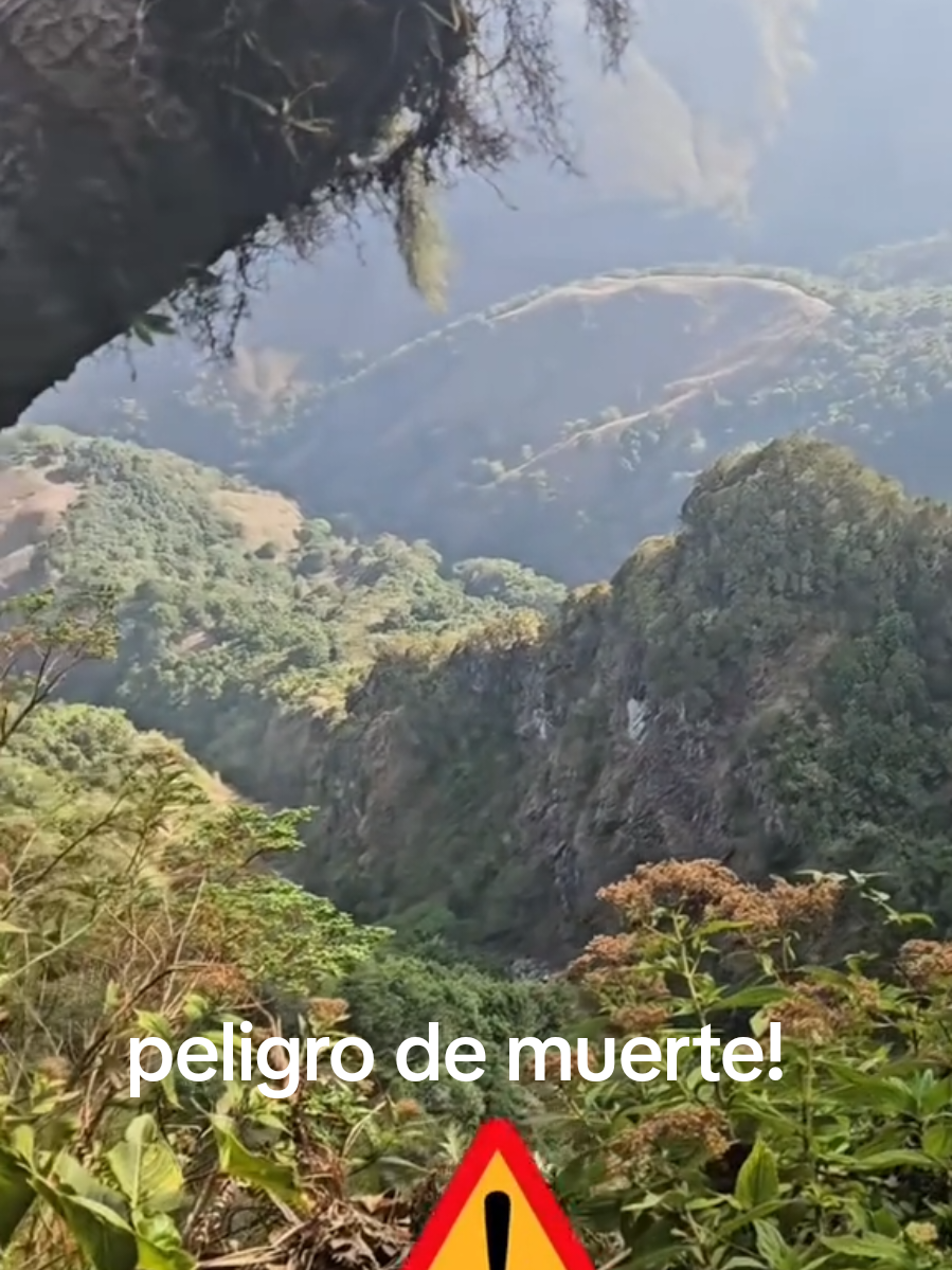 @glecab