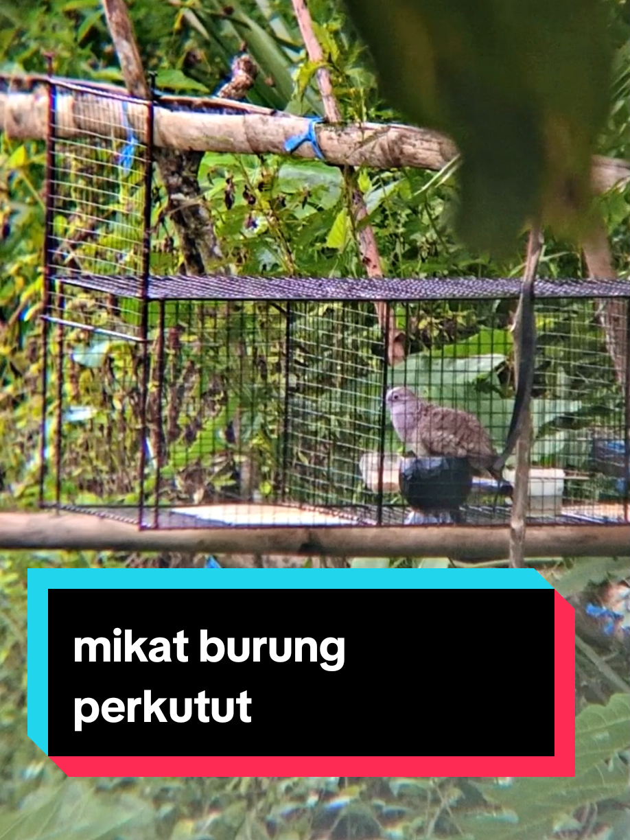 @PJr. EXPLORE
