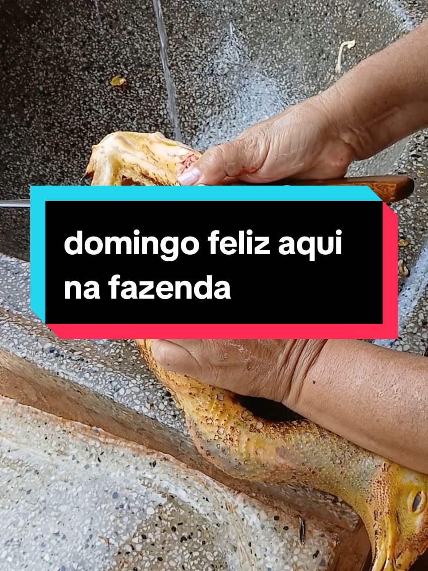 @Lucia Nunes