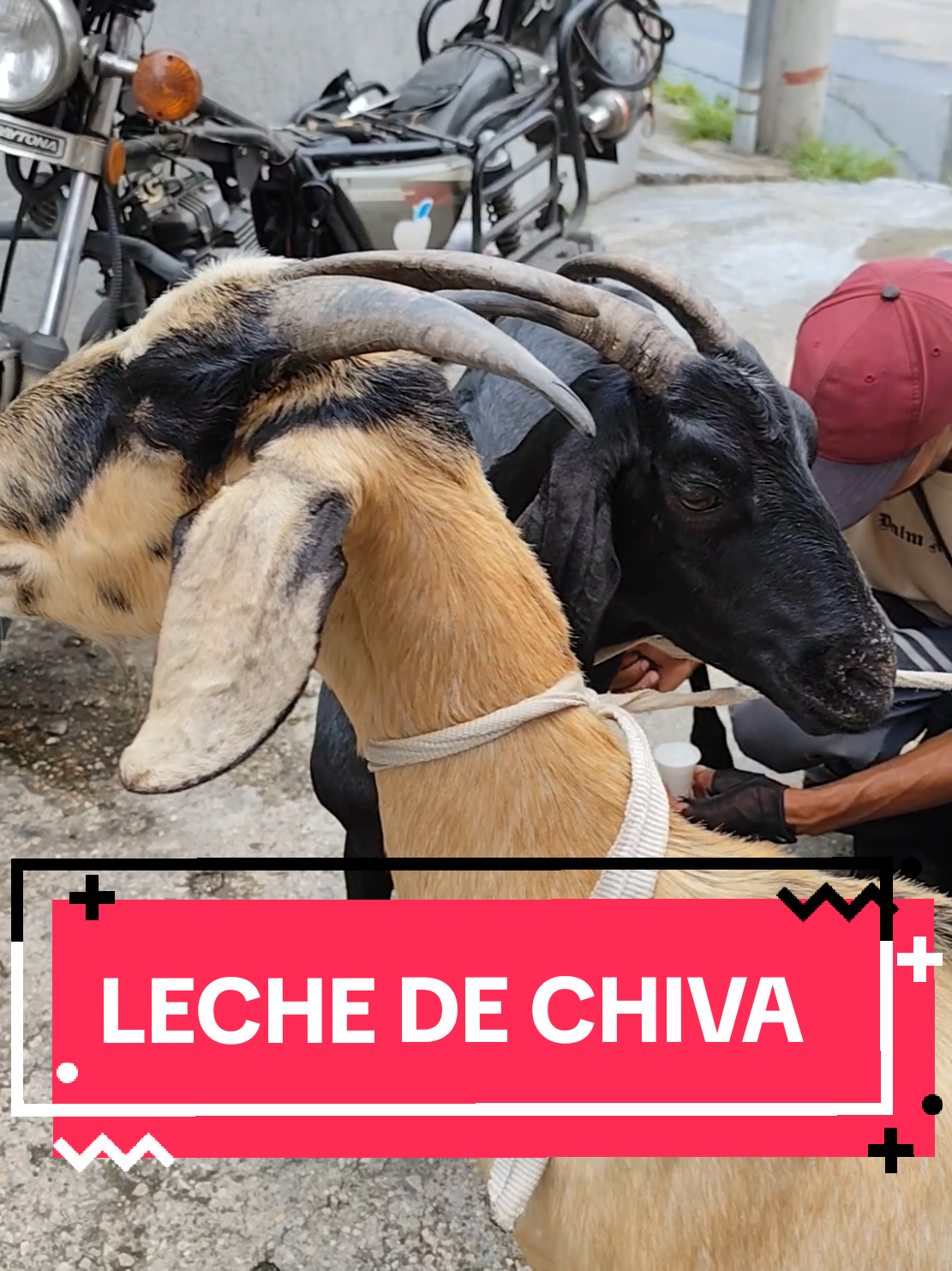 @llámame "Ch"
